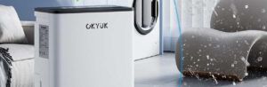 Lee más sobre el artículo OKYUK Deshumidificador 12L Opiniones