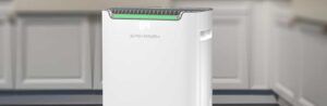 Lee más sobre el artículo Erikssøn Dry Pro Plus 20L Opiniones